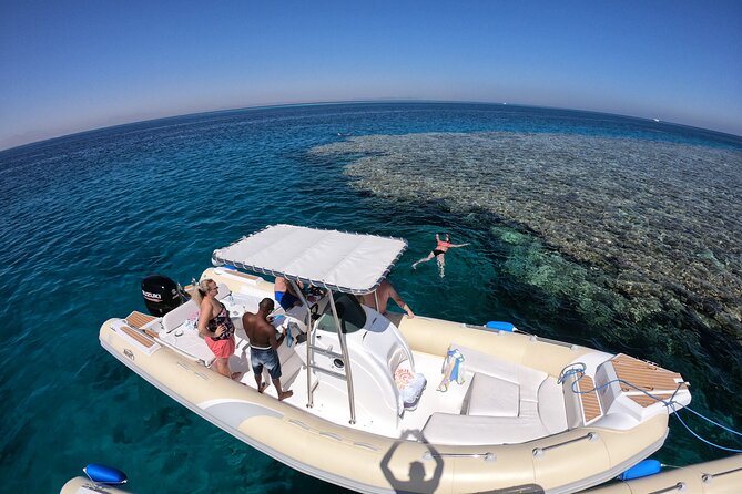 Private Dolphin Watching And Snorkeling Tour - Two Reef Stops In The Red Sea