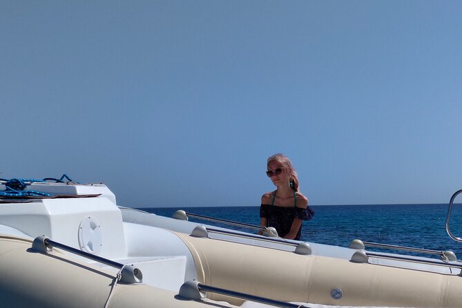 Private Dolphin Watching And Snorkeling Tour - What Is Included For $55