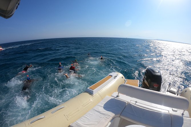 Private Dolphin Watching And Snorkeling Tour - Should You Book The Dolphin And Snorkeling Tour?