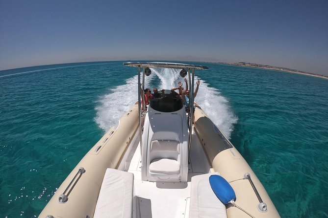 Private Dolphin Watching And Snorkeling Tour - The Dolphin Search Comes First