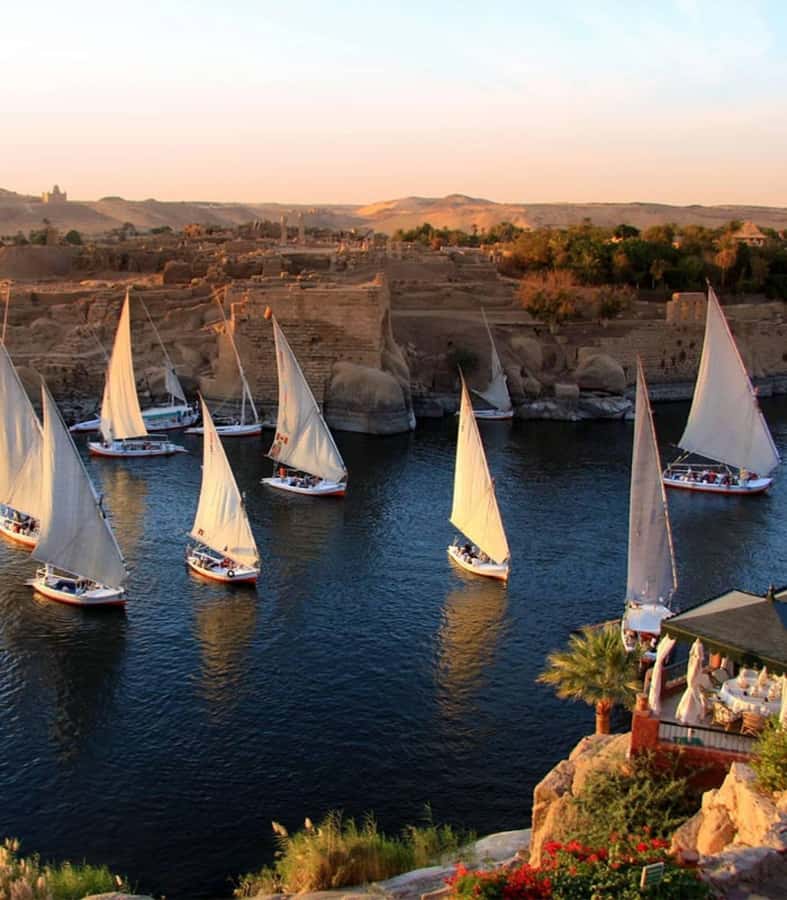 Private Felucca Ride on the Nile River - Small drawbacks worth knowing
