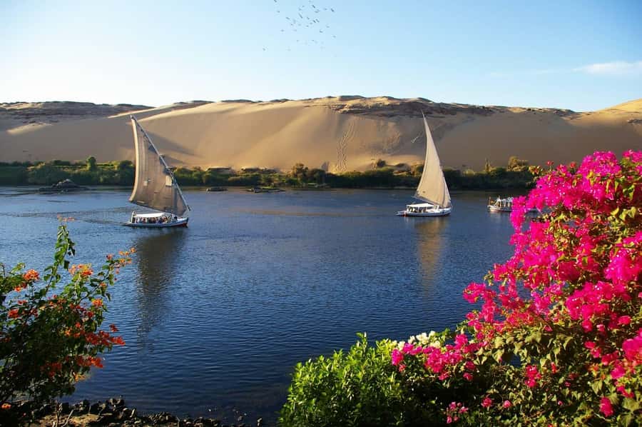 Private Felucca Ride on the Nile River - Who should book this Nile ride?