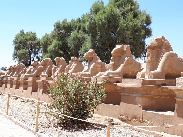 Private Full Day Tour to Luxor from Cairo with Flight - How the $500 price measures up