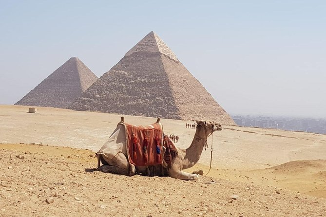 Private Half Day Giza Pyramids and Sphinx Tour - Why this private Giza tour works well