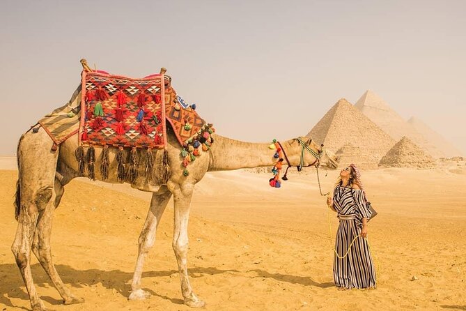 Private Half Day Tour Pyramids of Giza and Sphinx - The Sphinx and Valley Temple in one compact stop