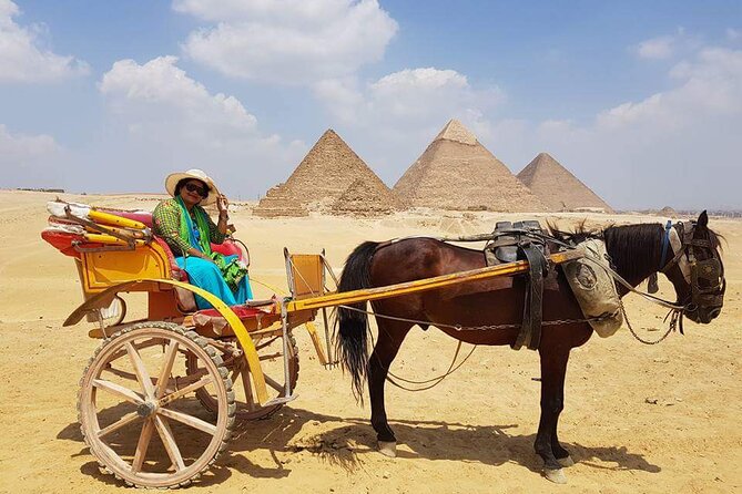 Private Half Day Tour to Giza Pyramids & Great Sphinx from Cairo - Meeting the Great Sphinx