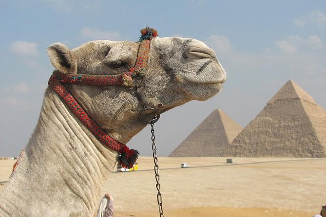 Private Journey :Grand Egyptian Museum & Giza Pyramids - Starting at the Grand Egyptian Museum