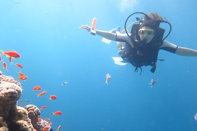 Private sea trip Hurghada - Lunch, drinks, and the value of staying aboard