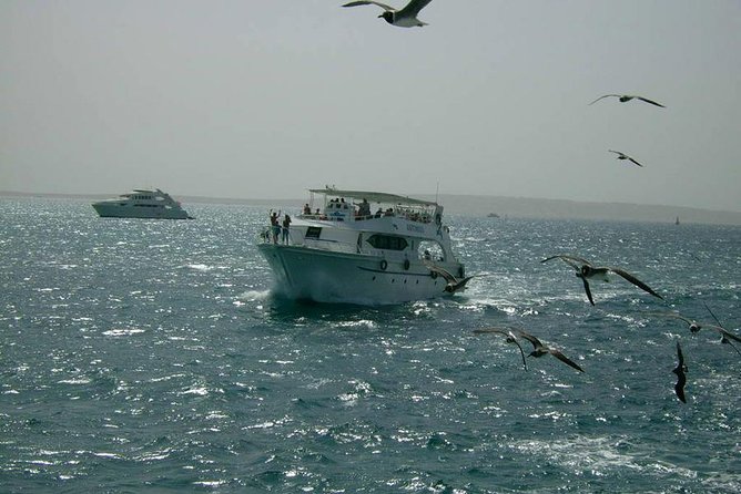 Private sea trip Hurghada - Who will enjoy this private Red Sea charter