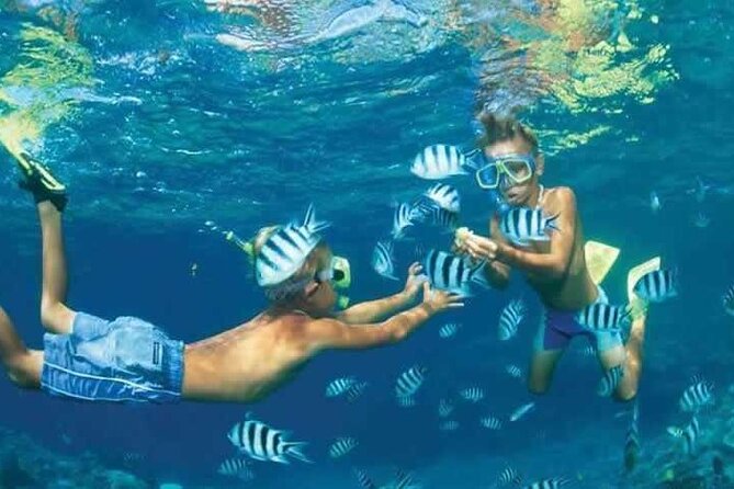 Private Speed Boat Snorkeling with Dolphins Trip - Hurghada - Captains and guides make the difference