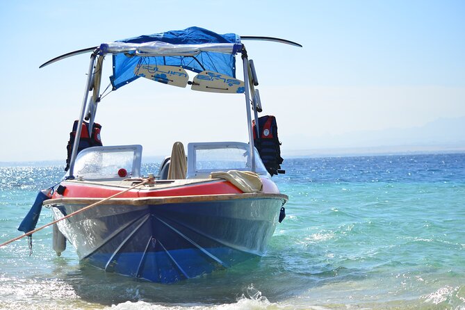 Private Speed Boat & Swim With Dolphins & Water Sports-hurghada - What Dolphin House can and cannot promise