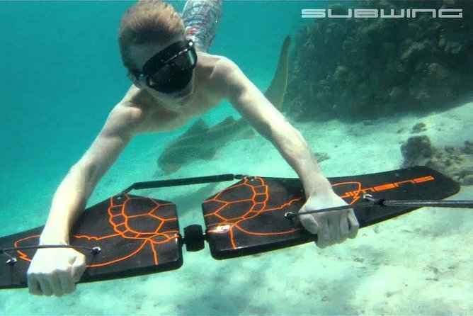 Private Speed Boat & Swim With Dolphins & Water Sports-hurghada - The first snorkeling stop with wild dolphins