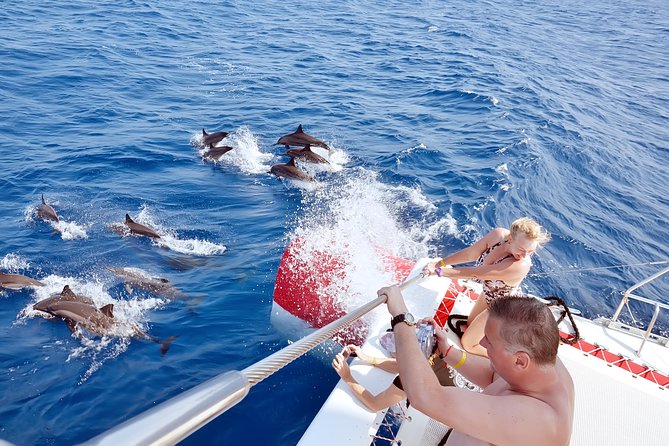 Private Speed Boat to DOLPHINS House & Water activities -HURGHADA - Reaching Dolphin House in the Red Sea