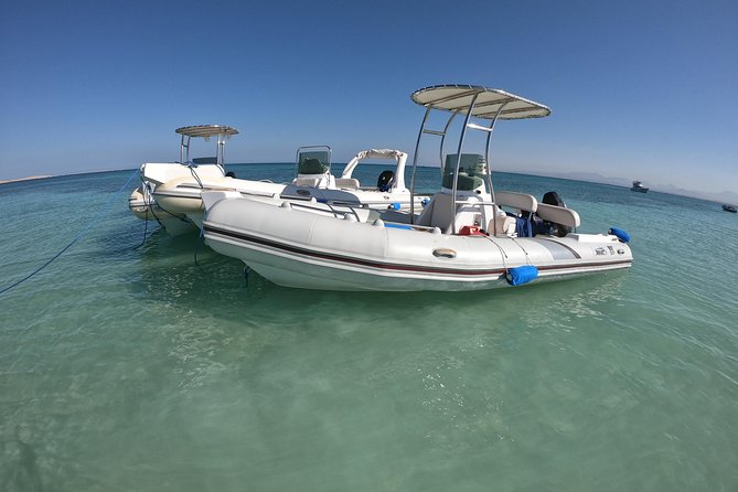 Private Speed Boat Trip In Hurghada - How much value do you get for $40?