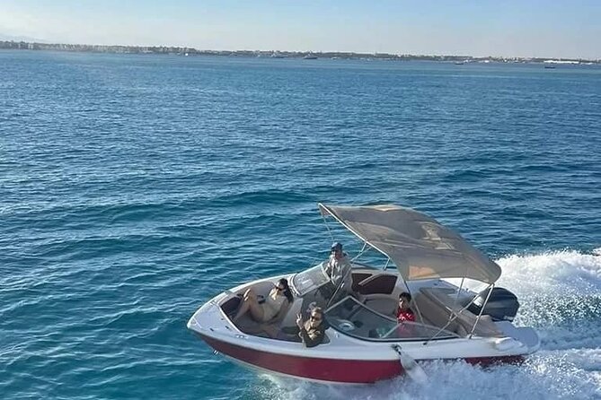 private speedboat 3 hours to dolphin house - Hurghada - Dolphin watching in the natural habitat