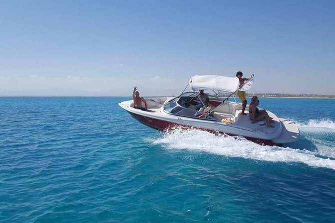 private speedboat 3 hours to dolphin house - Hurghada - Reaching Dolphin House by private speedboat