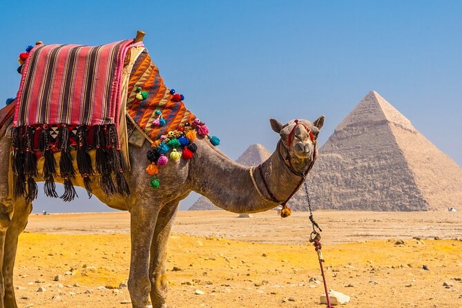 Private Tour: Cairo Day Trip from Hurghada, Including Round-Trip Flights, Giza Pyramids, Sphinx, and Egyptian Museum - Lunch with a Nile view
