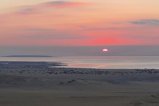 Private tour El Fayoum Oasis and Wadi Rayan waterfall from Cairo - Lake Qarun: birds, farms, and a simple boat ride