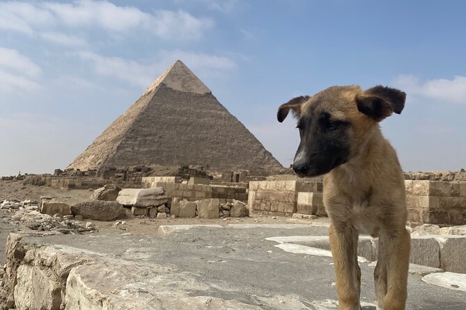 Private Tour Giza Pyramids, Egyptian Museum, Bazar And Lunch - Two Hours Inside the Egyptian Museum