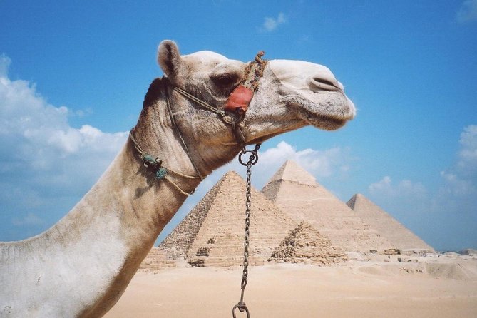 Private Tour: Giza Pyramids, Sphinx, Memphis, Sakkara - The Solar Boat Museum as an Optional Upgrade