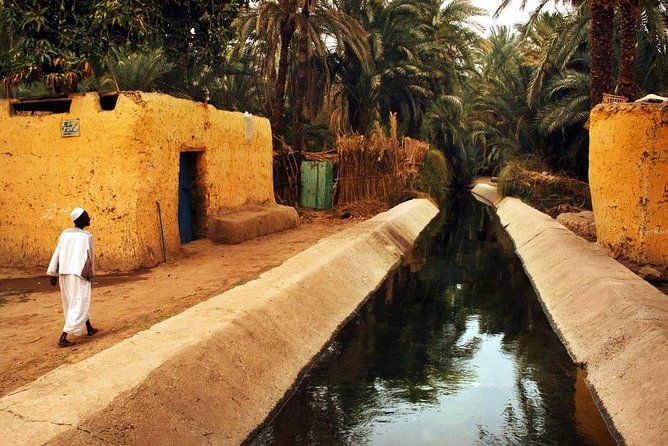 Private Tour in Aswan : Nubian Village and Felucca - Meeting a Nubian family in the village