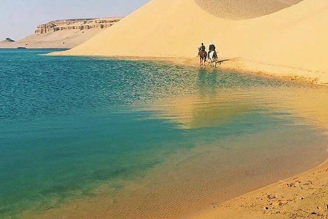 Private Tour To Fayoum Oasis, Valley Of The whales & Wadi Al Rian From Cairo. - What the $220 Price Really Covers