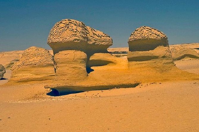 Private Tour To Fayoum Oasis, Valley Of The whales & Wadi Al Rian From Cairo. - Who Will Enjoy This Day Trip Most