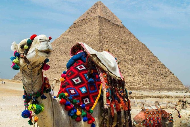 Private tour to Giza Pyramids, Sphinx and Egyptian museum - The Sphinx and Valley Temple