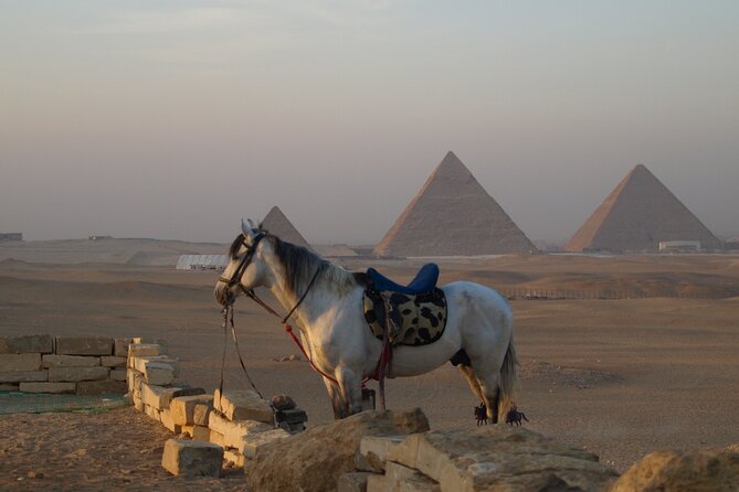 Private tour to Giza Pyramids, Sphinx and Egyptian museum - What the $41 price really offers