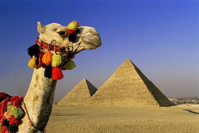 Private Tour to Giza Pyramids, Sphinx, Saqqara Pyramids & Memphis - Memphis and the Statue of Ramses II