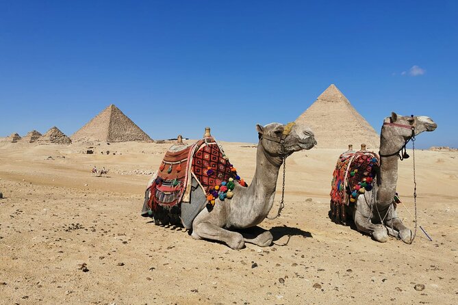 Private Tour to Giza Pyramids, Sphinx with Camel Ride and Lunch - Is $33 a good value?