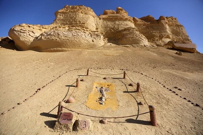 Private Tour to Whales Valley & Wadi El Rayan Waterfalls in El Fayoum from Cairo - Leaving Cairo early for Fayoum