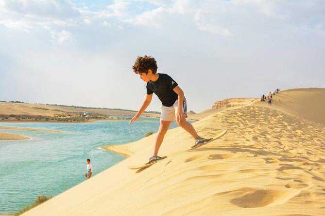 Private Tour to Whales Valley & Wadi El Rayan Waterfalls in El Fayoum from Cairo - Wadi Al-Hitan and the ancient whale fossils