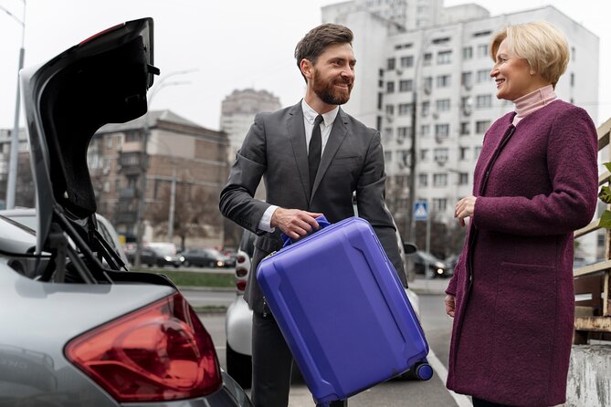 Private transfer from Cairo Airport to the hotel in Cairo or Giza - Why a prepaid Cairo airport ride helps