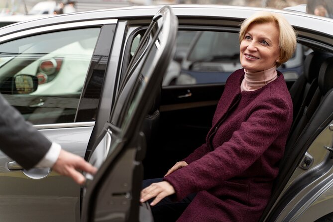 Private transfer from Cairo Airport to the hotel in Cairo or Giza - The 30 to 45 minute ride to Cairo or Giza