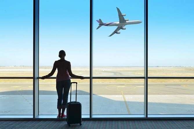 Private Transfer From/To Luxor International Airport - Comfort, vehicle size, and what is included