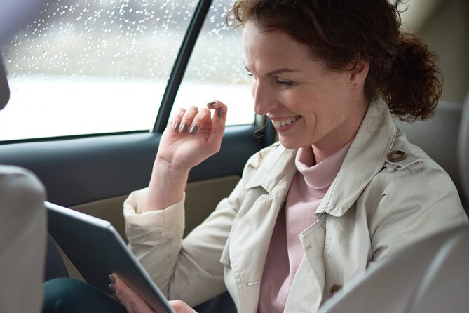 Private Transfer Hurghada City To Cairo - Car & Minibus Options - Choosing between the car and minibus