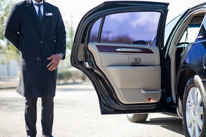 Private Transfers to/from Cairo Airport & Hotels in Cairo & Giza - Meeting your driver at Cairo Airport