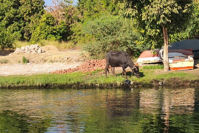 Private Trip to Nubian Village and Felucca Ride in Aswan - What makes the cultural side worth your time
