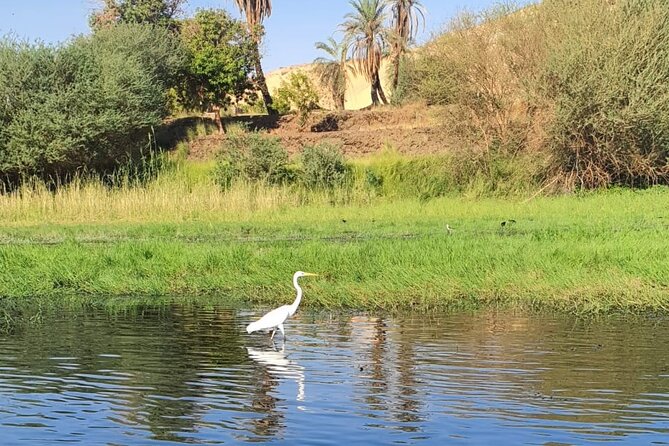 Private Trip to Nubian Village and Felucca Ride in Aswan - How the three to four hours are likely to unfold