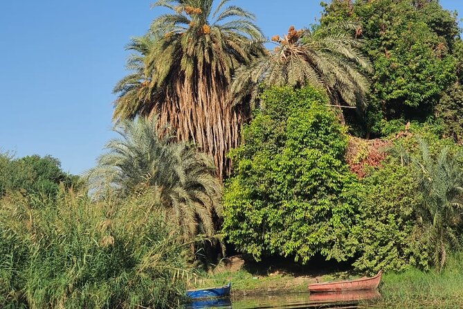 Private Trip to Nubian Village and Felucca Ride in Aswan - Who will enjoy this tour most