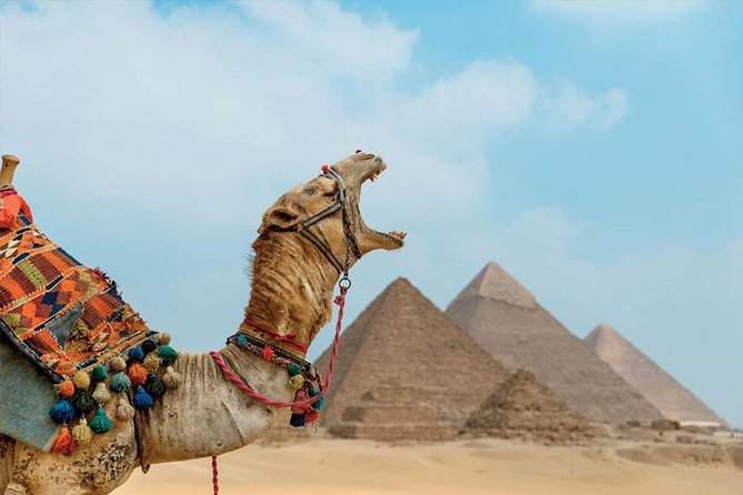 Private ViP all-inclusive Giza Pyramids,Sphinx,Inside Pyramid - The Great Pyramid of Khufu