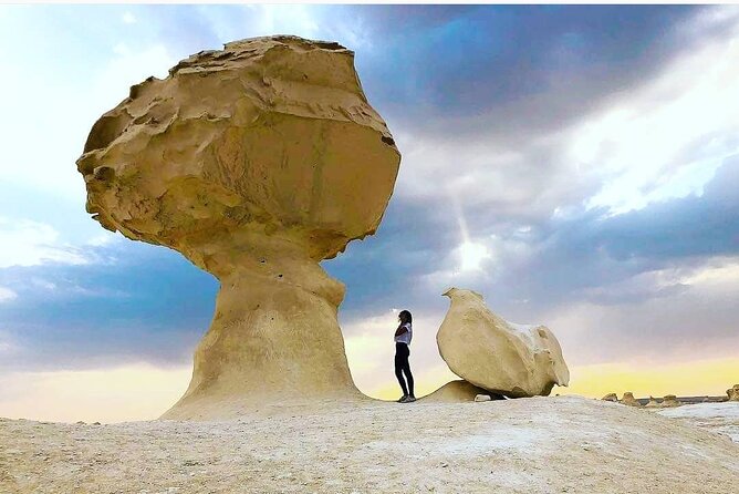 Private White Desert tour one Full day from Cairo - What This Cairo to Bahariya Trip Is Really Like