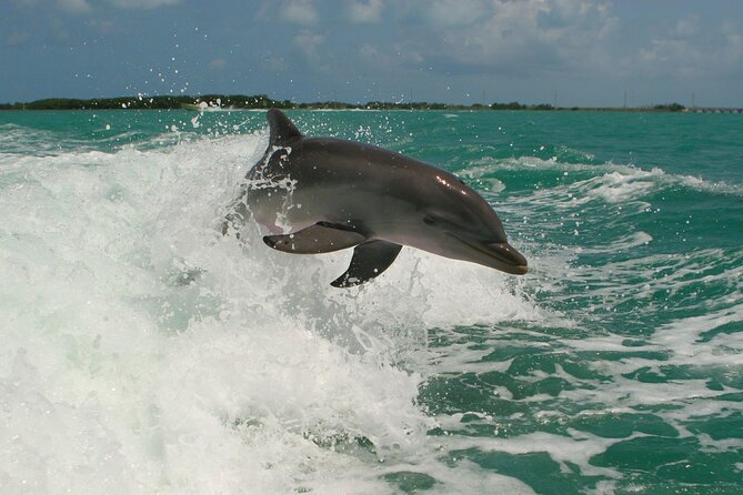 Private Yacht Cruise to Dolphin House with Lunch : Hurghada - Lunch, fruit, and drinks served on board