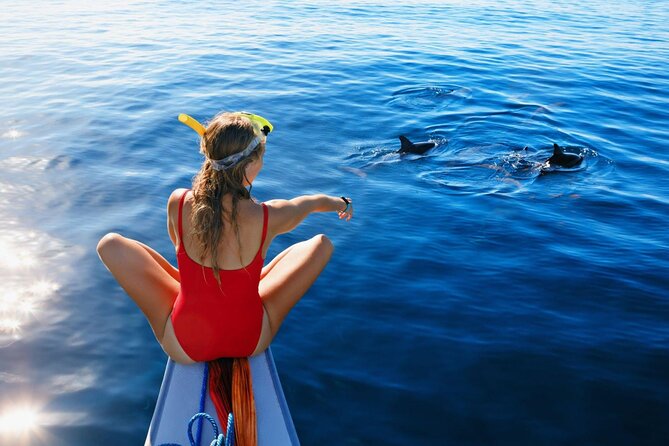 Private Yacht Cruise to Dolphin House with Lunch : Hurghada - A private boat makes the day calmer