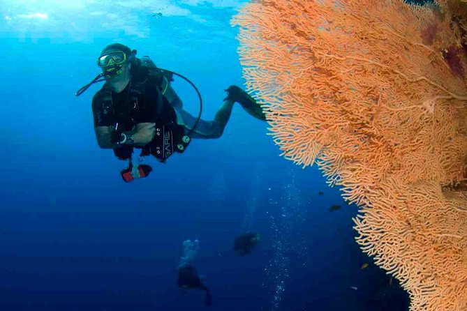 Professional 2 Stops Scuba Diving Full Day Boat Trip - Hurghada - Key points to know before booking