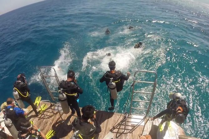 Professional 2 Stops Scuba Diving Full Day Boat Trip - Hurghada - Who should book this Hurghada boat day?