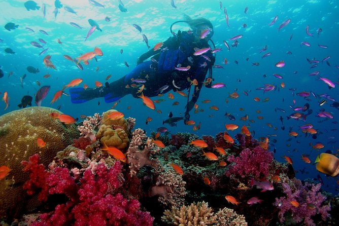 Professional 2 Stops Scuba Diving Full Day Boat Trip - Hurghada - Booking, weather, and cancellation details