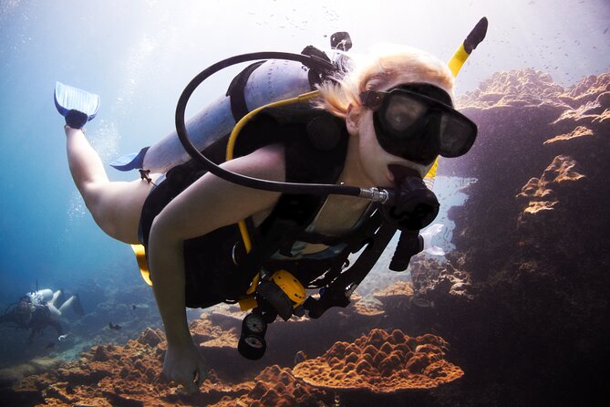 Professional Diver Two Stops Dives & Lunch, transfer–Hurghada - Key points at a glance
