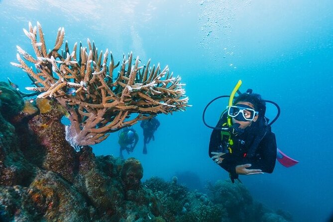 Professional Diver Two Stops Dives & Lunch, transfer–Hurghada - Starting at 8:00 am from your Hurghada hotel